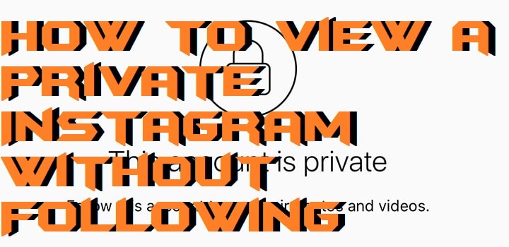 view private instagram without human verification